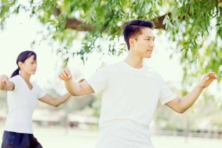 People practicing thai chi in the park in the summertimeの写真素材