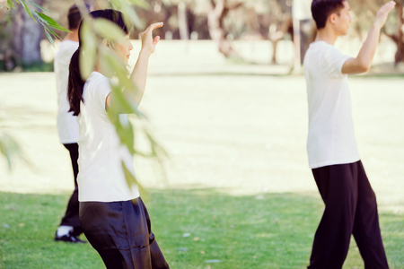 People practicing thai chi in the park in the summertimeの写真素材