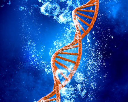 DNA molecule in clear crystal blue waterの写真素材