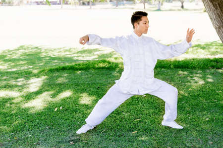 Handsome man practicing thai chi in the park in the summertimeの写真素材