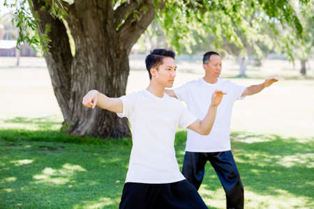People practicing thai chi in the park in the summertimeの写真素材
