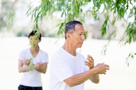 People practicing thai chi in the park in the summertimeの写真素材