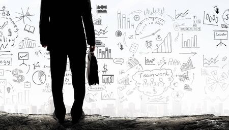 Rear view of businessman with suitcase looking at business ideasの写真素材