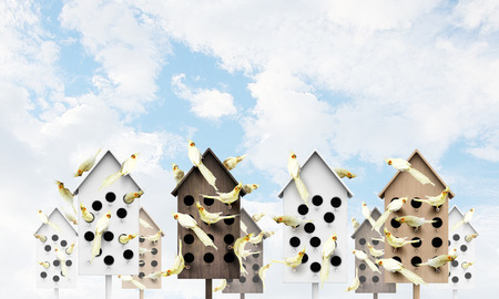 Many parrots living in one wooden nestling boxの写真素材