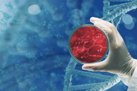 Scientist doctor hand on dna molecule background holds glass dish