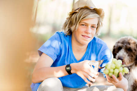 Boy picking grapes in vineyard with a dogの写真素材