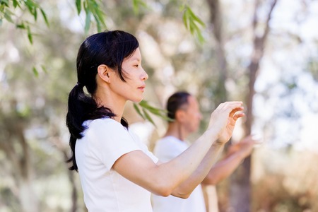 People practicing thai chi in the park in the summertimeの写真素材