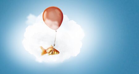 Flying in sky goldfish tied up to big balloonの写真素材