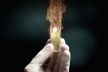 Close up of human hand holding test tube with green sproutの写真素材