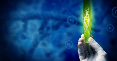 Close up of human hand holding test tube with green sproutの写真素材