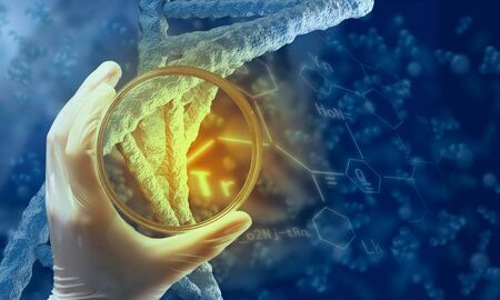 Scientist doctor hand on dna molecule background holds glass dishの写真素材