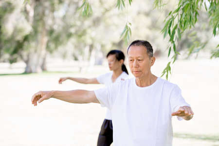 People practicing thai chi in the park in the summertime