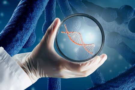 Scientist doctor hand on dna molecule background holds glass dishの写真素材