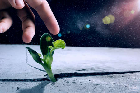 Green sprout growing from crack and Earth planet. Elements of this image are furnished by NASAの写真素材