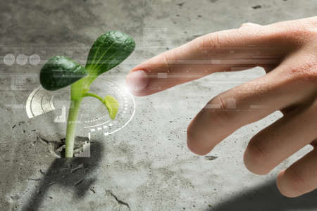 Close up image of human hand pointing on green sproutの写真素材