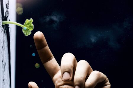 Green sprout growing from crack and Earth planet. Elements of this image are furnished by NASAの写真素材