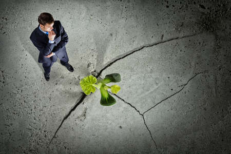 Top view of businessman looking thoughtfully on green sproutの写真素材