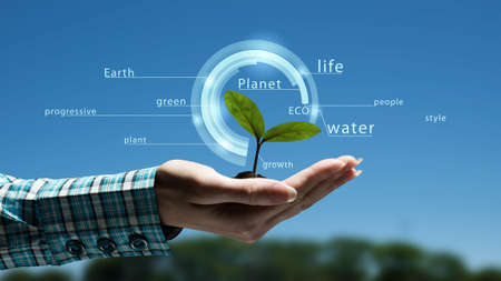 Close view of woman holding green plant in her palmsの写真素材
