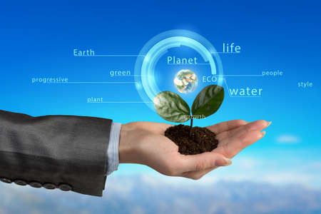 Close view of businesswoman holding green plant in her palms