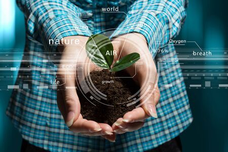 Close view of woman holding green plant in her palmsの写真素材