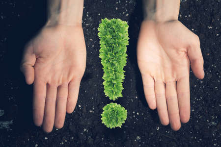 Exclamation green mark in male palms on soil background