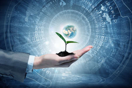 Close view of businesswoman holding green plant in her palms.