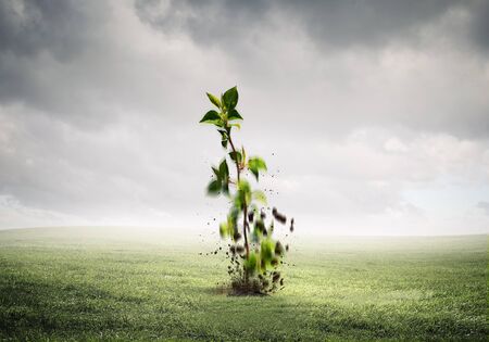 Money income concept with green sprout growing up