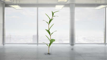 Money income concept with green sprout in roomの写真素材