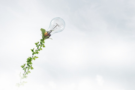 Money income concept with green sprout growing upの写真素材