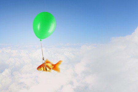 Concept of surrealism with gold fish flying on air balloonの写真素材