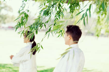 People practicing thai chi in the park in the summertimeの写真素材