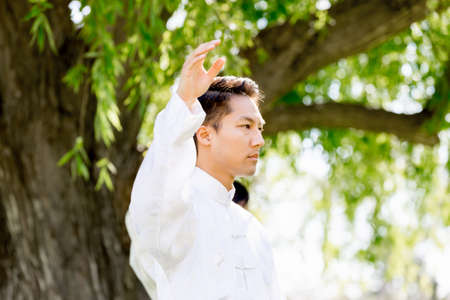 Handsome man practicing thai chi in the park in the summertime