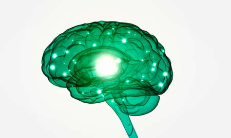 Conceptual background image with human brain on white backdrop