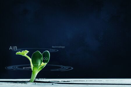 Green plant sprout growing from crack on moon surface
