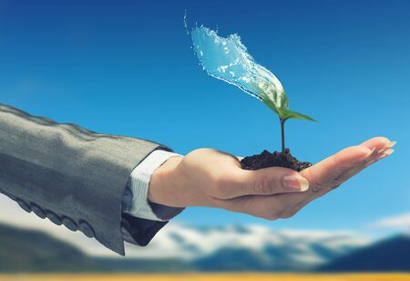 Hand of businesswoman holding with care green sprout in soilの写真素材