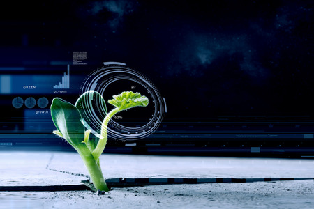 Green plant sprout growing from crack on moon surfaceの写真素材