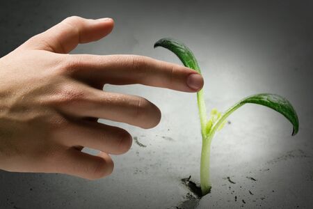 Green plant sprout growing from crack on moon surfaceの写真素材