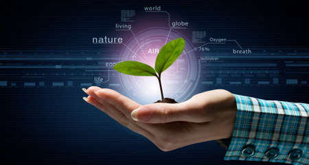 One small green sprout with soil in female handsの写真素材