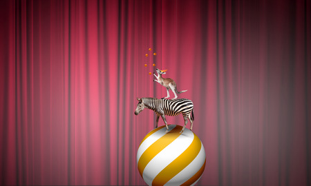 Circus animals standing in stack and balancing on ballの写真素材