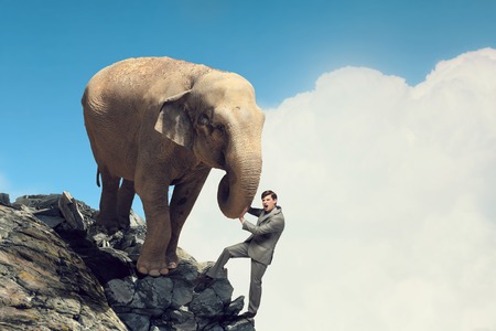 Businessman making effort to move huge elephantの写真素材
