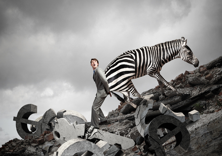 Businessman making effort to move huge zebraの写真素材