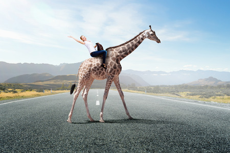 Young pretty fearless woman riding giraffe animalの写真素材