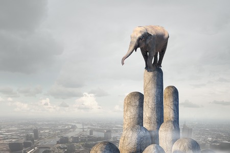 Big elephant animal on rock top and symbol of successの写真素材