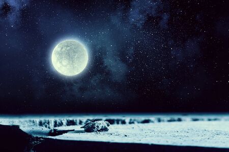 Background or wallpaper image with full moon planet