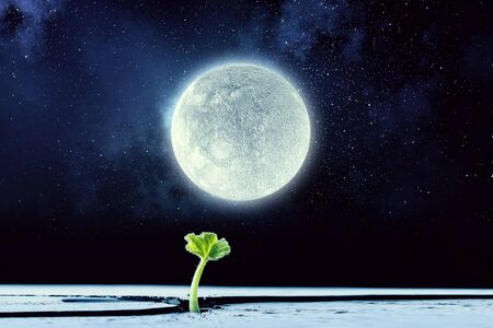 Is there life on moon . Mixed mediaの写真素材