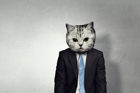 Businessman with cat head . Mixed mediaの写真素材
