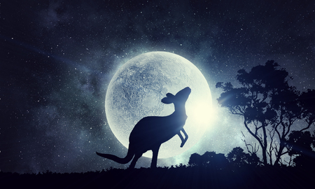 Natural Safari landscape and kangaroo . Mixed mediaの写真素材