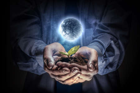 The birth of new life . Mixed mediaの写真素材