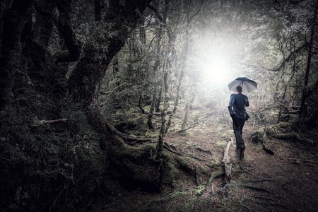 Businessman with black umbrella walking in forest. Mixed mediaの写真素材