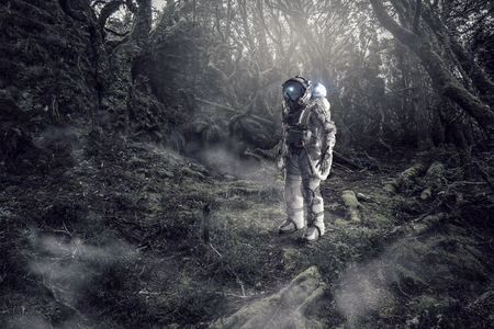 Astronaut in forestの写真素材